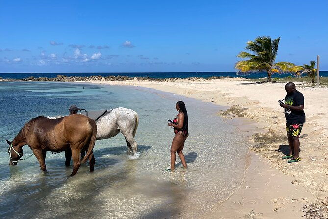 horseback-ride-and-swim-guided-tour-from-montego-bay