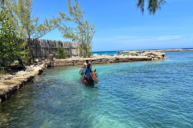 horseback-ride-and-swim-tour-in-montego-bay