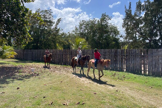 horseback-ride-and-swim-tour-in-montego-bay