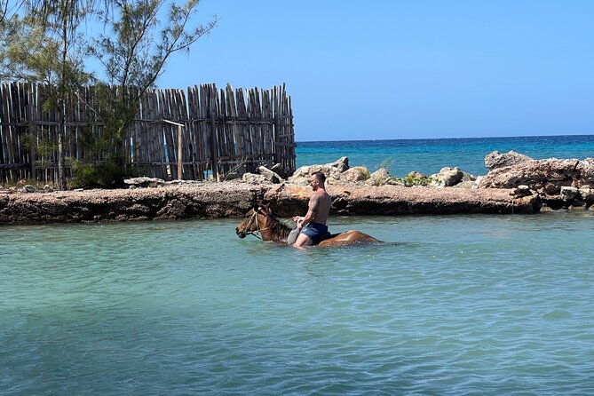 horseback-ride-and-swim-tour-in-montego-bay