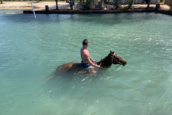horseback-ride-and-swim-tour-in-montego-bay