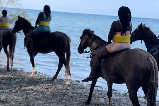 horseback-ride-dunns-river-falls-blue-hole-from-montego-bay