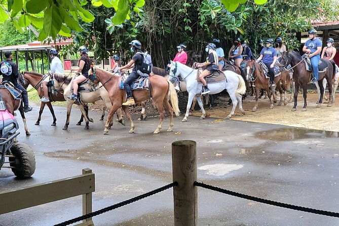 horseback-ride-experience