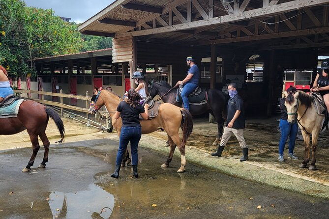 horseback-ride-experience