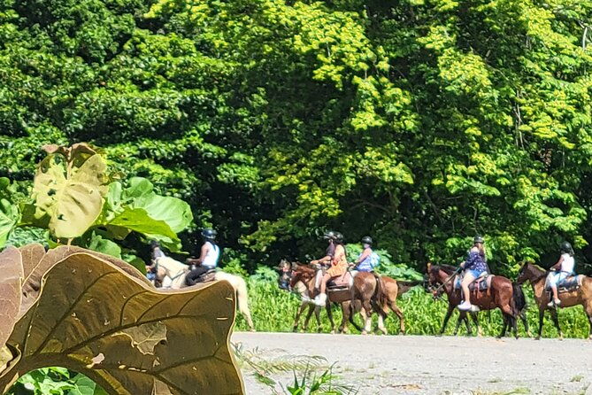 horseback-ride-experience