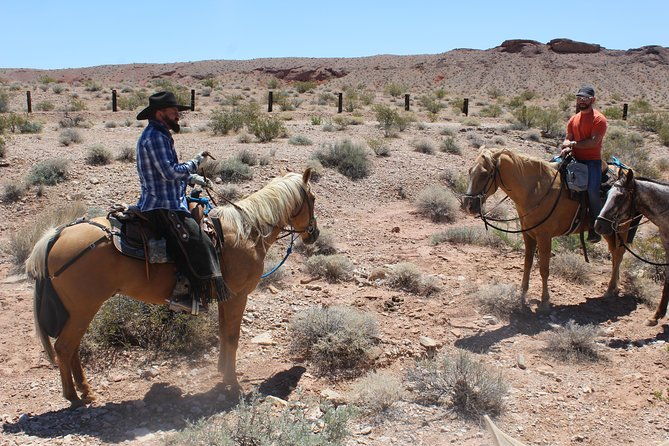 horseback-ride-in-las-vegas