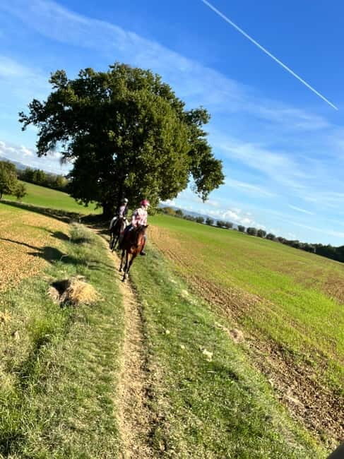 Horseback Ride in Tuscany with Lunch in da Vincis Land - An Introduction to the Tuscan Adventure
