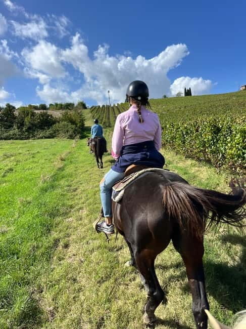 Horseback Ride in Tuscany with Lunch in da Vincis Land - Who Will Love This Experience?