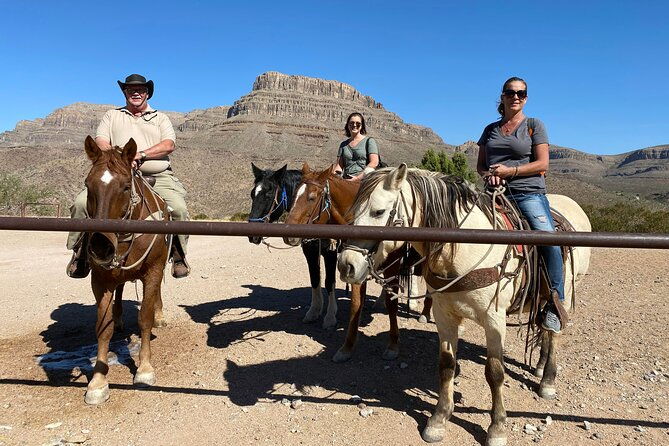 horseback-ride-joshua-tree-forest-buffalo-lunch-singing-cowboy