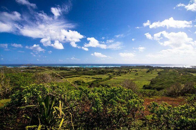 Horseback Ride Like an Authentic Paniolo in Kahuku - A Deep Dive into the Horseback Experience
