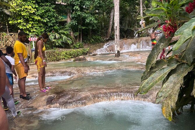 horseback-ride-n-swim-dunns-river-falls-from-montego-bay