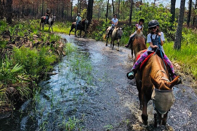 horseback-ride-on-scenic-lake-louisa-trails