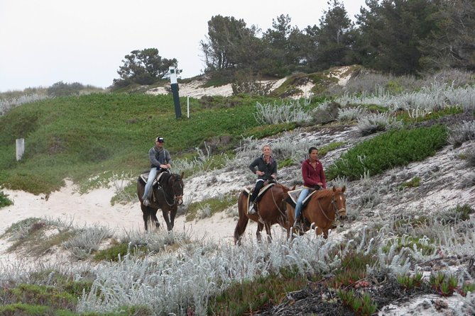 horseback-ride-on-the-beach-alcatraz-tour-in-san-francisco
