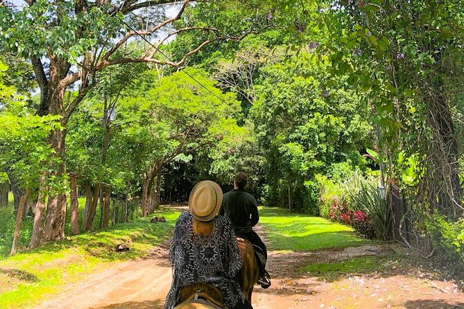 horseback-ride-picnic-and-swimming-at-barigona-beach