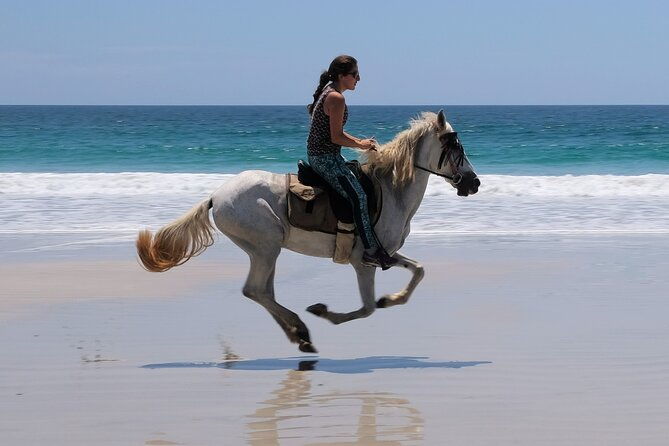 horseback-ride-picnic-and-swimming-at-barigona-beach