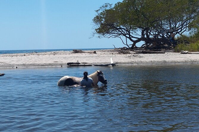 horseback-ride-picnic-and-swimming-at-barigona-beach