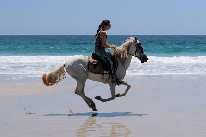 horseback-ride-picnic-and-swimming-at-barigona-beach