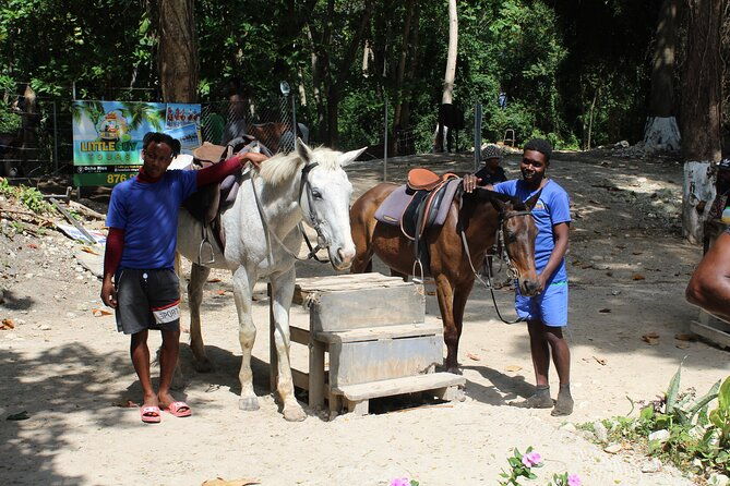 horseback-ride-swim-jamaica-montego-bay