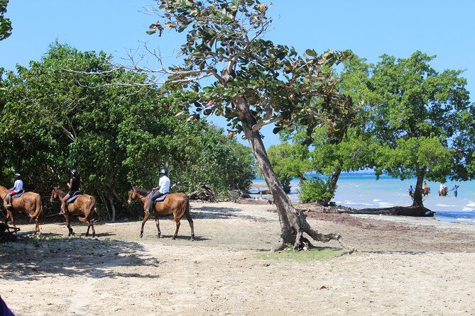 horseback-ride-swim-jamaica-montego-bay