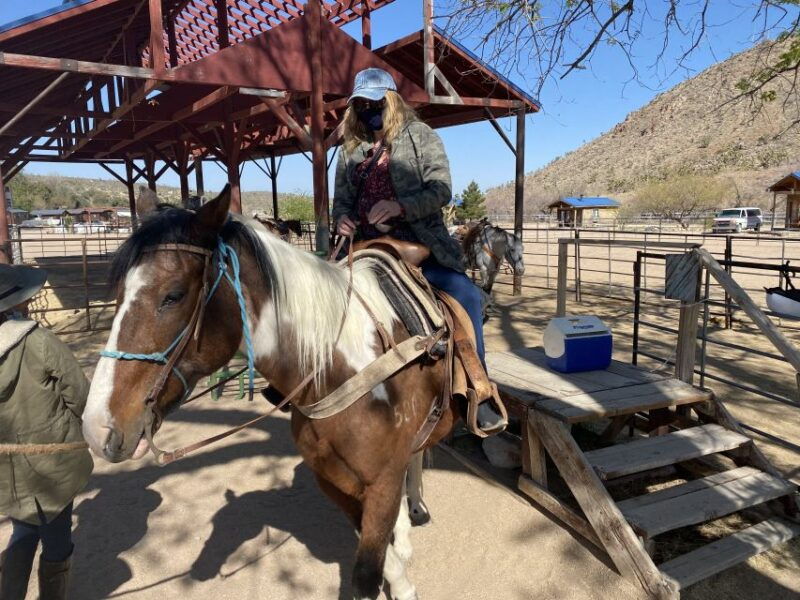 horseback-ride-thru-joshua-tree-forest-with-buffalo-lunch
