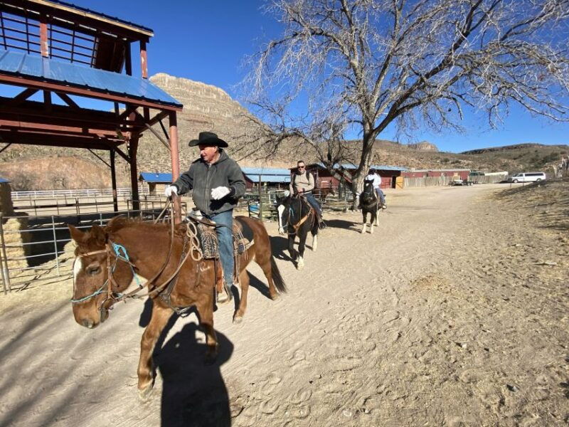 horseback-ride-thru-joshua-tree-forest-with-buffalo-lunch