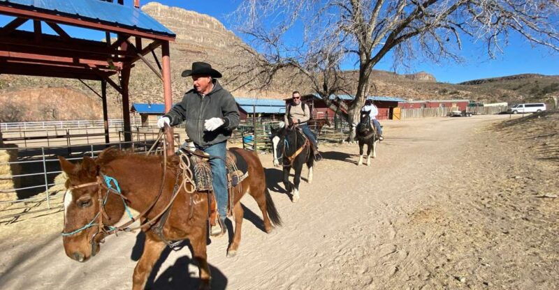 horseback-ride-thru-joshua-tree-forest-with-buffalo-lunch