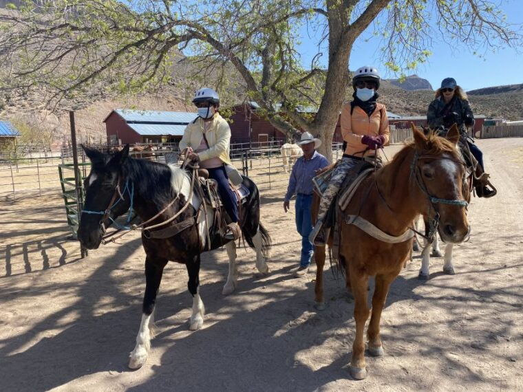 horseback-ride-thru-joshua-tree-forest-with-buffalo-lunch