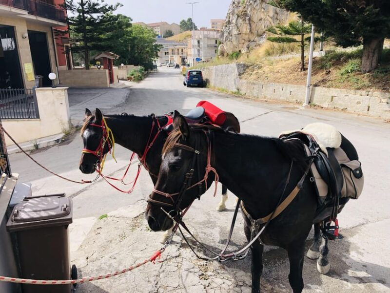 horseback-ride-to-caltabellotta-and-brunch-with-a-shepherd