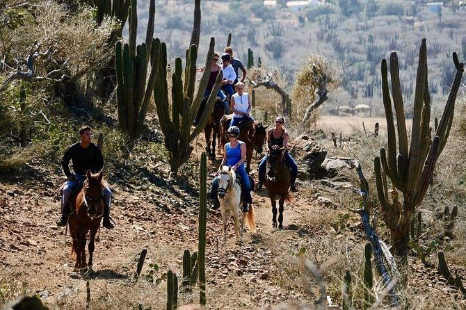 horseback-ride-tour-to-natural-pool-in-arikok-national-park