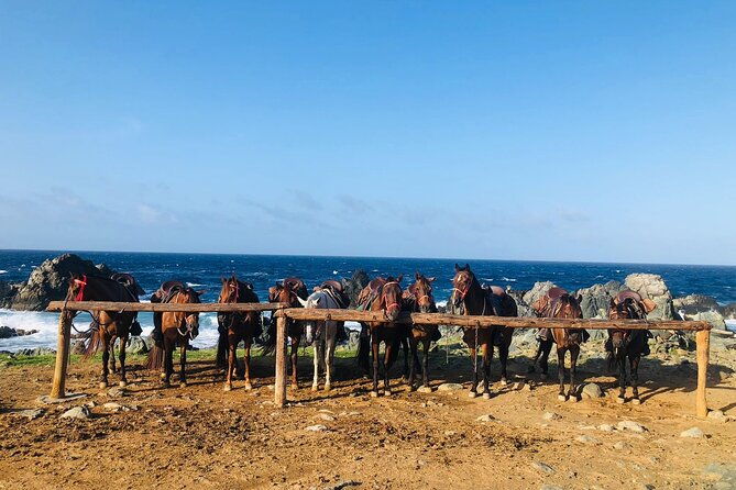 horseback-ride-tour-to-natural-pool-in-arikok-national-park
