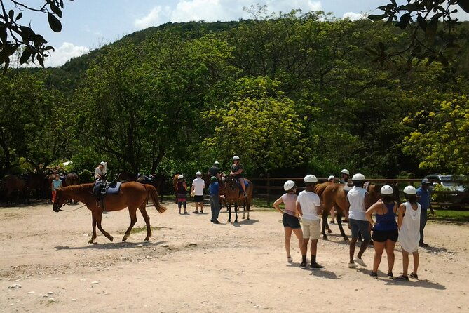 horseback-ride-ziplining-and-dunns-river-falls-adventure-from-montego-bay