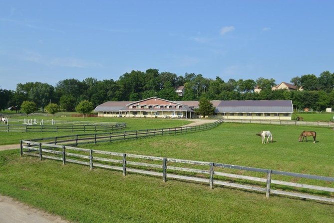 horseback-rides-interactions-and-petting-zoo