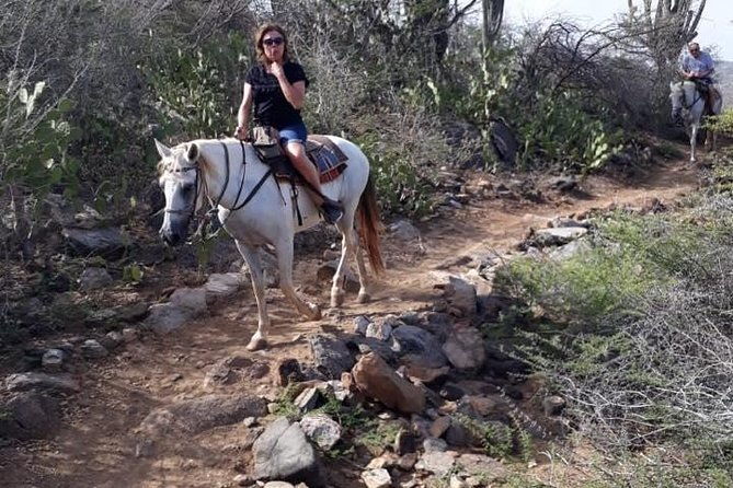 horseback-riding-2-hour-sunset-rock-formation-countryside-and-beach-ride