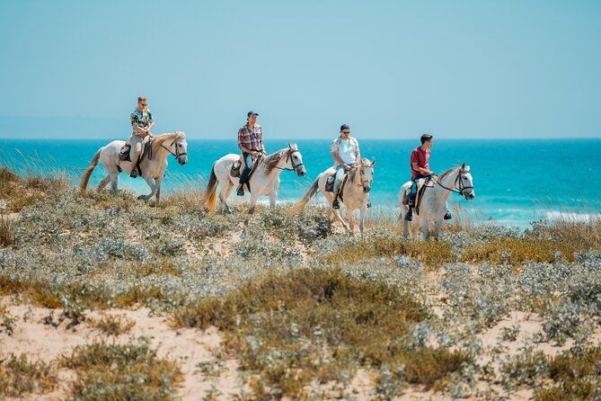horseback-riding-4-options-mountain-lesson-ring-beach-2hours