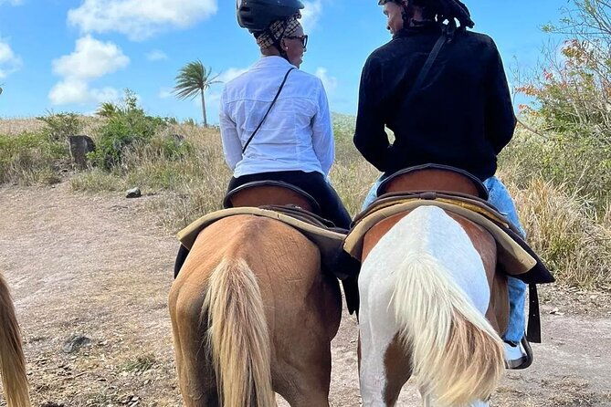 horseback-riding-a-scenic-escape
