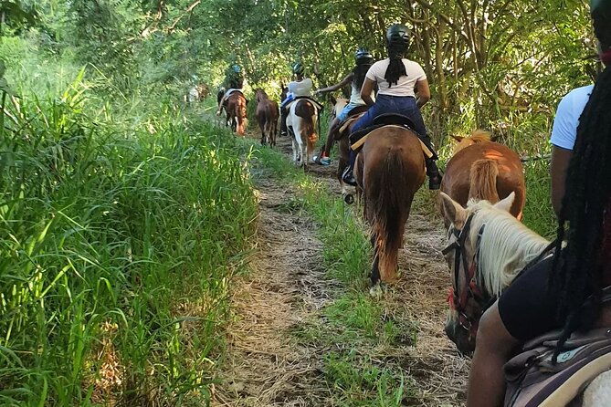 horseback-riding-a-scenic-escape