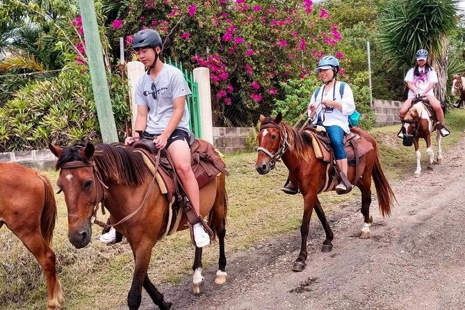 horseback-riding-a-scenic-escape