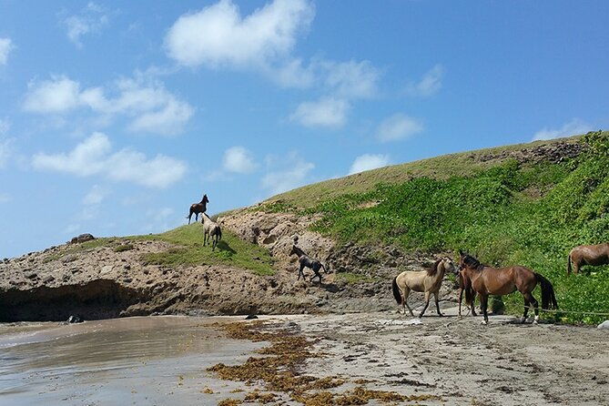 horseback-riding-adventure-tour-in-st-lucia