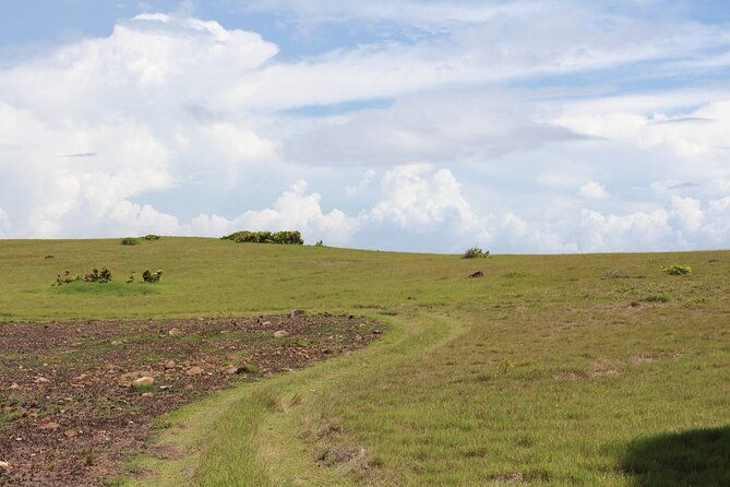 horseback-riding-adventure-tour-in-st-lucia