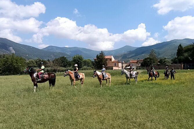 horseback-riding-and-aperitif-2-hours-for-beginners-2