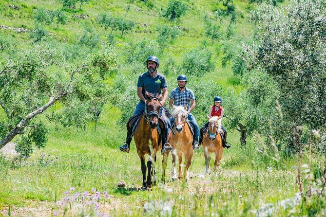 horseback-riding-and-aperitif-2-hours-for-beginners-2