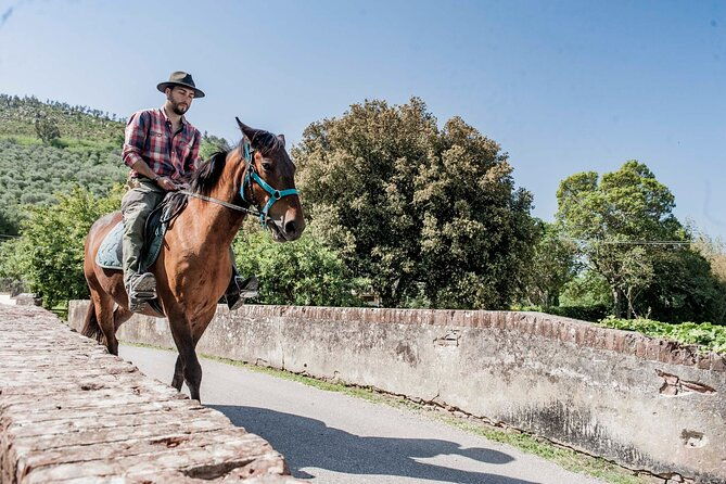 horseback-riding-and-aperitif-2-hours-for-beginners-2
