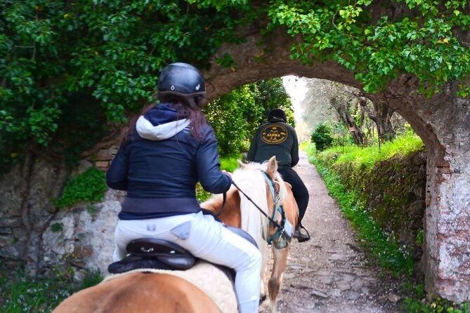 horseback-riding-and-aperitif-2-hours-for-beginners-2