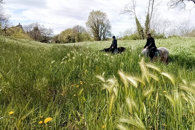 horseback-riding-and-aperitif-2-hours-for-beginners