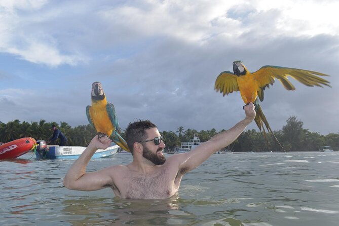 horseback-riding-and-atv-or-buggy-with-snorkeling-with-lunch