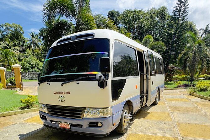 horseback-riding-and-swim-experience-jamaica