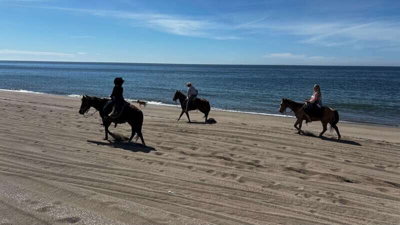 Horseback riding and Temazcal combo with lunch and mezcal - Practical Details and Tips