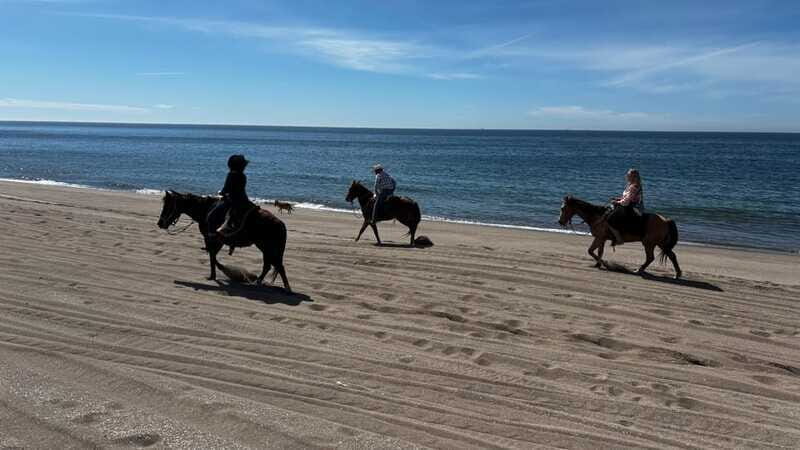Horseback riding and Temazcal combo with lunch and mezcal - FAQ