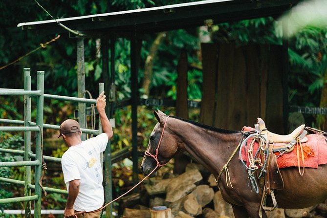 horseback-riding-and-waterfalls-from-manuel-antonio