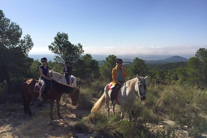 Horseback riding and wine tour (private tour) - What to Expect: A Detailed Breakdown of Your Day